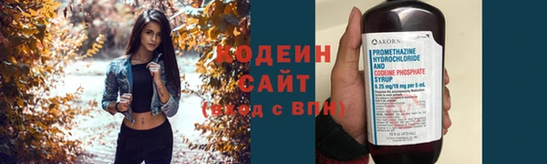 гидра Верхний Тагил
