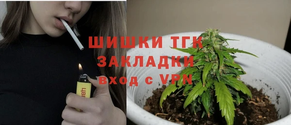 гидра Верея