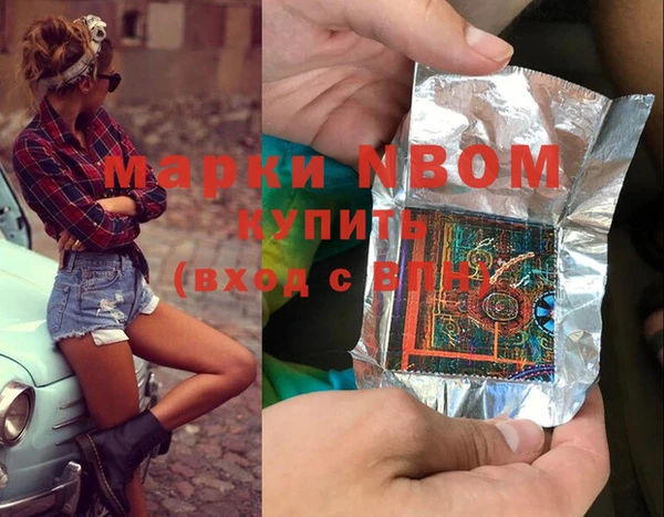 гидра Верхний Тагил