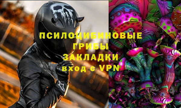 гидра Верхний Тагил