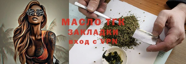гидра Верхний Тагил